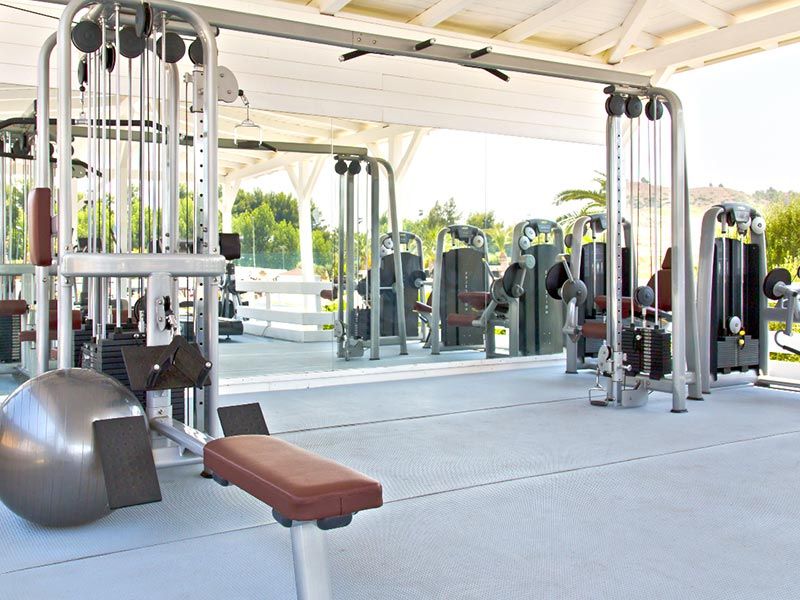 Palestra