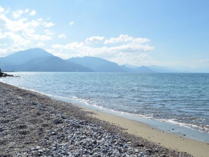 Mare