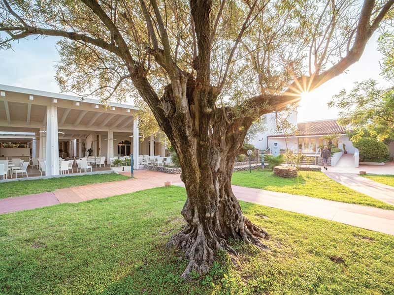 Aree verdi all'interno del villaggio accessibile